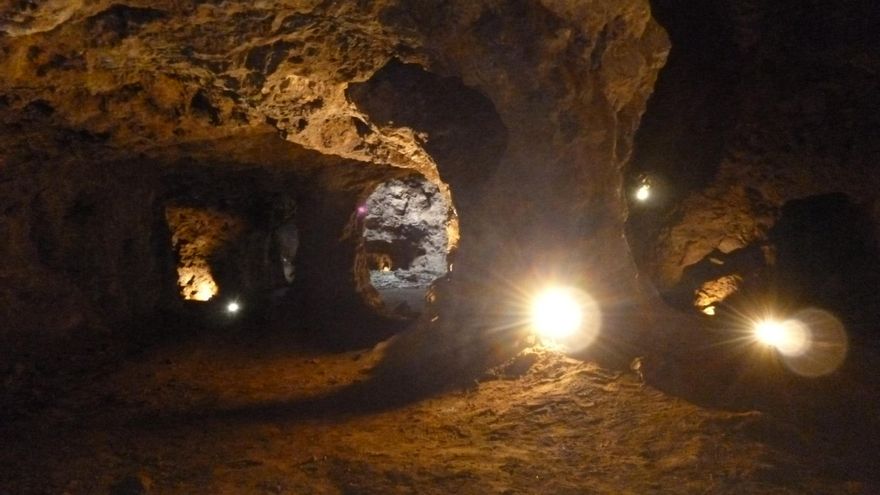 En las profundidades anidan murciélagos, aves, mamíferos