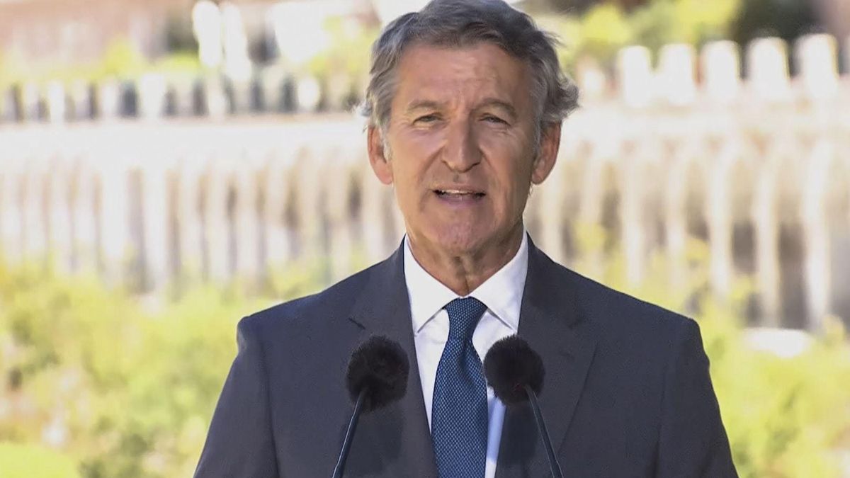 Alberto Núñez Feijóo. EFE/ PP