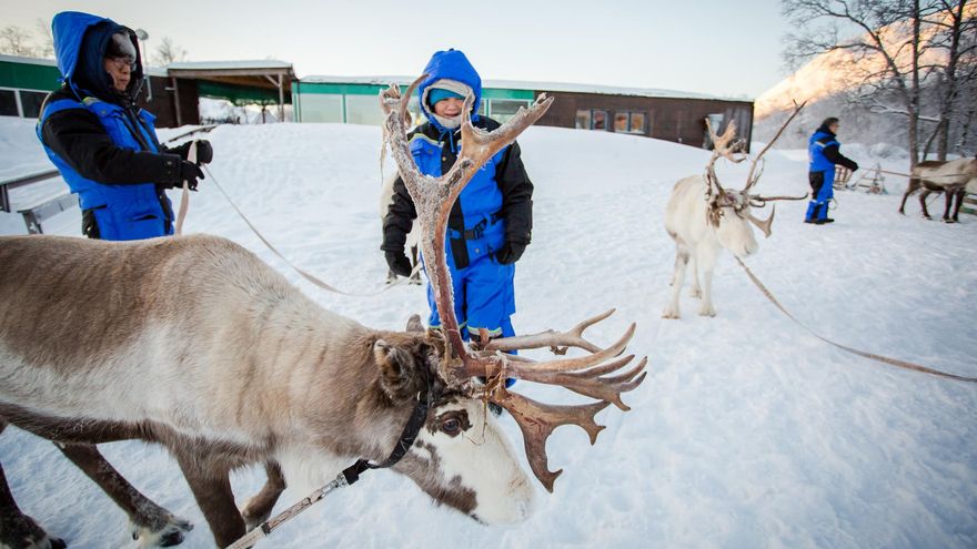 Víctimas de la transición verde de Suecia: el pueblo Sami alerta a la ONU del peligro que afrontan los pastores de renos