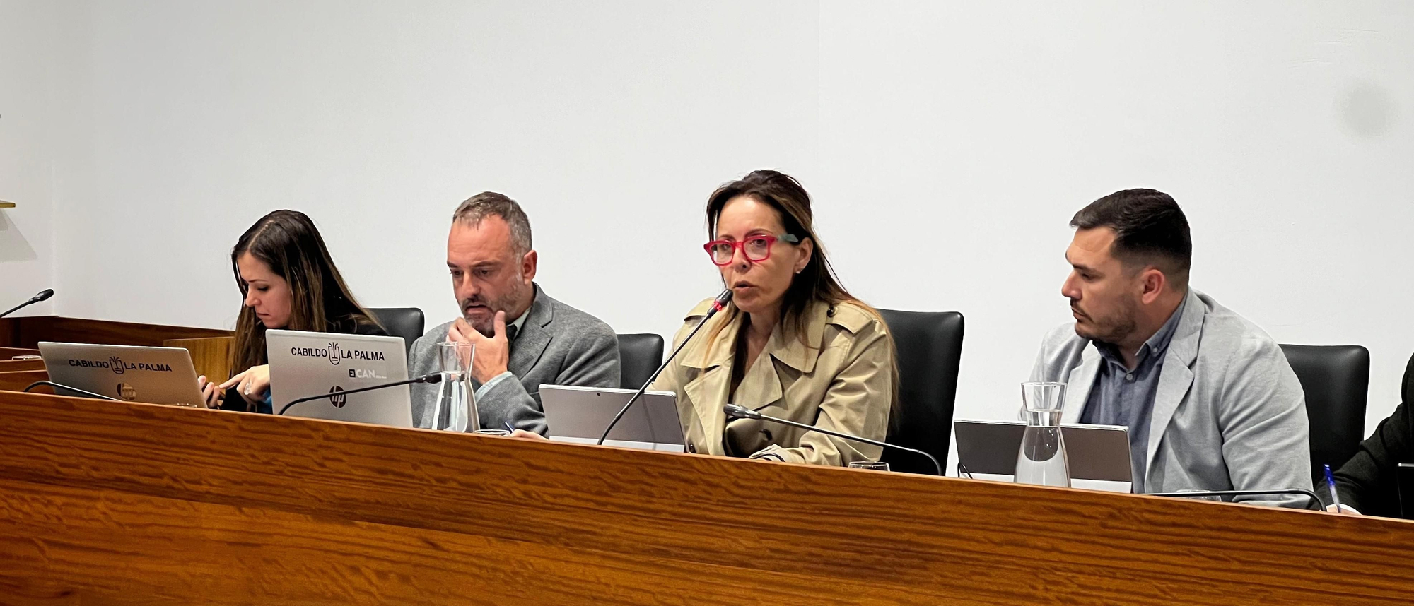 Ángeles Fernández en la sesión plenaria de este martes.