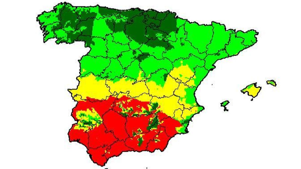 Polen de olivo en Córdoba