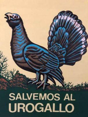 Cartel de la primera campaña de ARCA en defensa del urogallo.