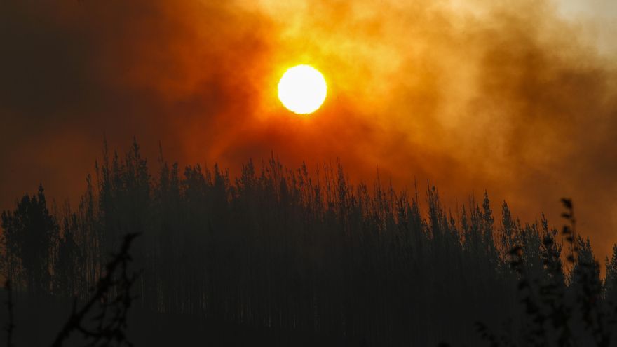 PSOE presenta una moción en el Senado sobre el pacto frente a la emergencia climática