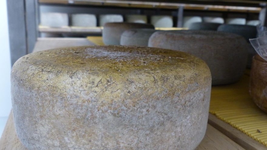 Quesos de Hualdo o todo lo que se puede hacer con leche de oveja manchega