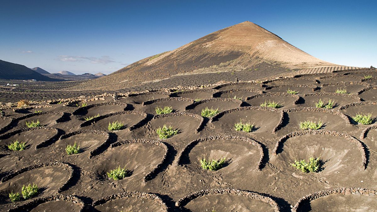 El valor patrimonial de los cultivos volcánicos de Lanzarote, reconocido por la ONU