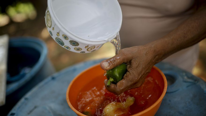 El 68 % de los puertorriqueños que reciben el PAN están por debajo del umbral de pobreza