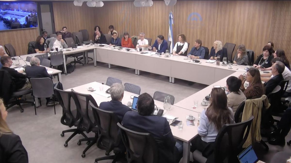 Reunión de la Comisión de Libertad de Expresión