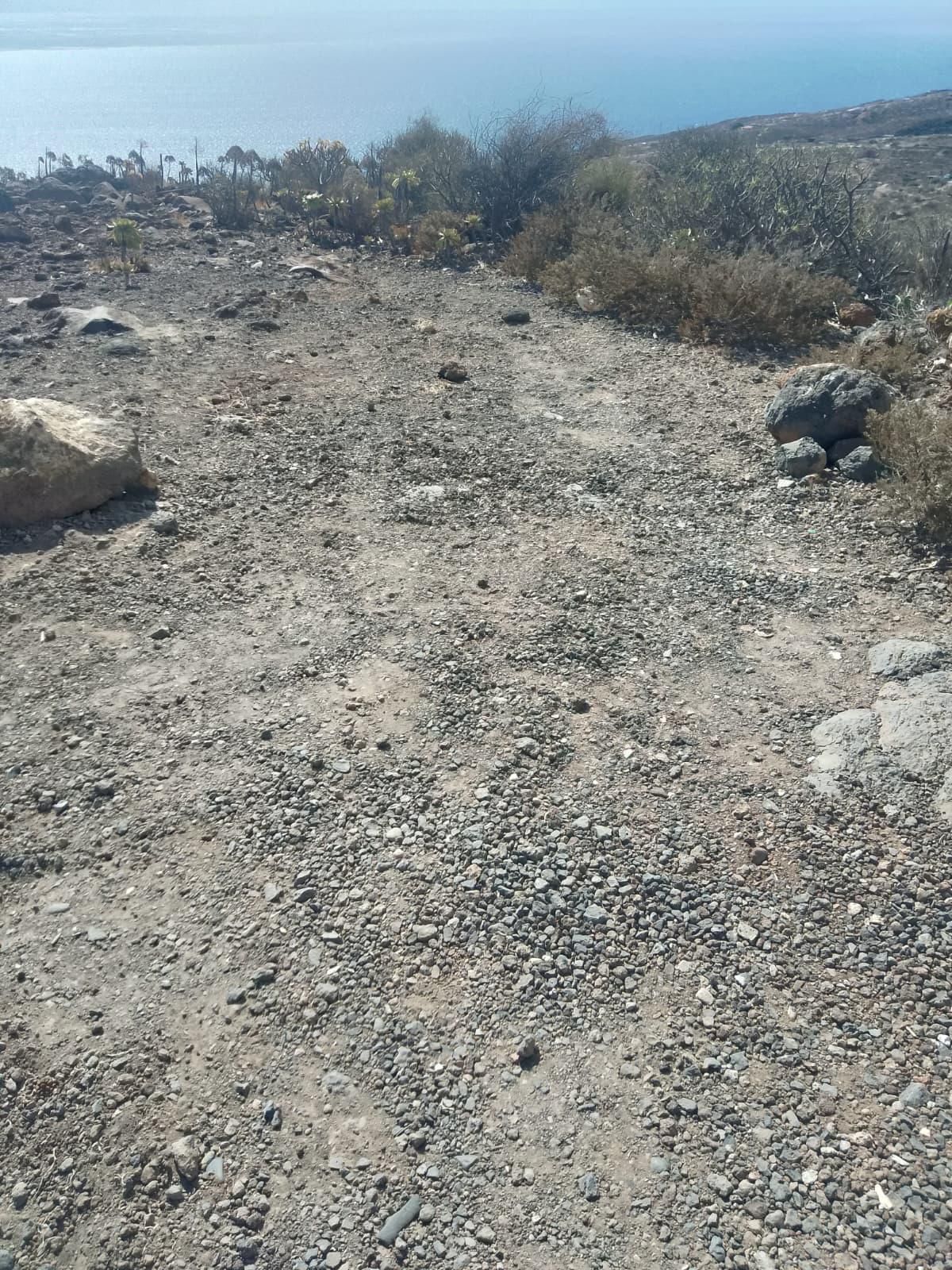 Rastros de vehículos en el yacimiento guanche en Güímar.