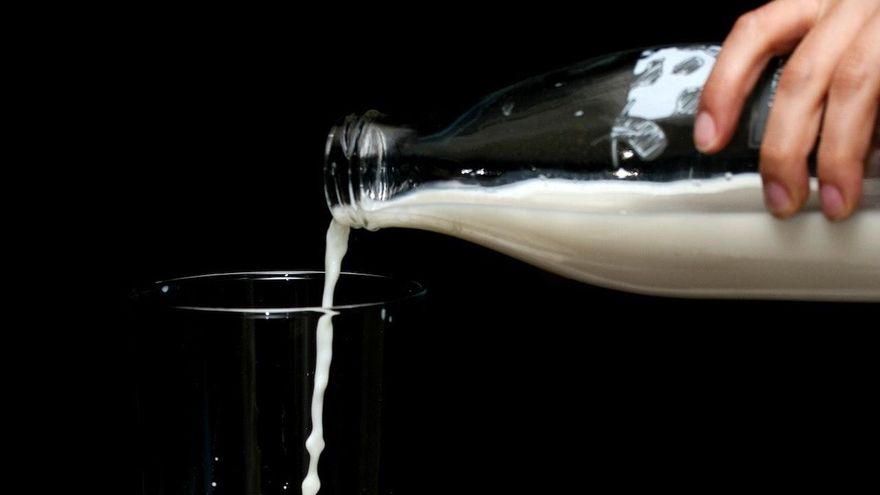 Bebidas vegetales, ¿más o menos sostenibles que la leche de vaca?