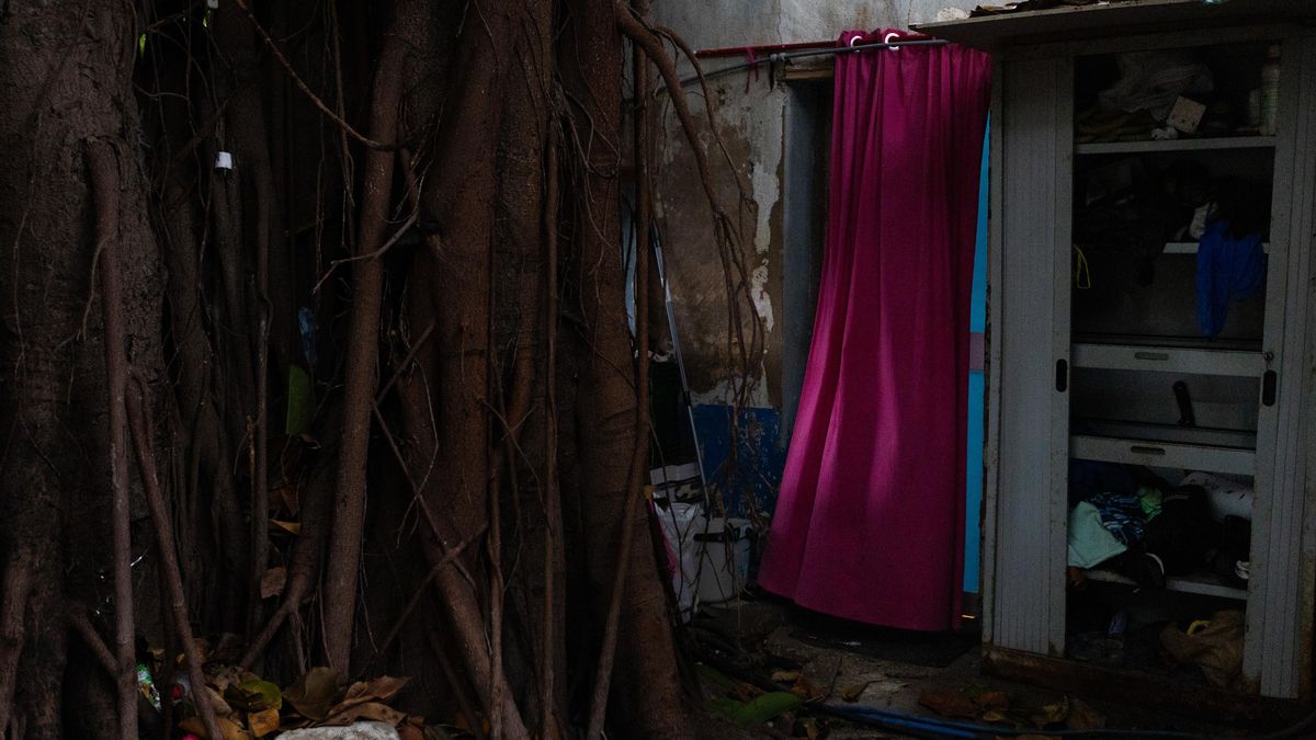 Estas parcelas, ubicadas en el sureste de Palma, aumentaron su edificabilidad gracias a la Ley Carbonero
