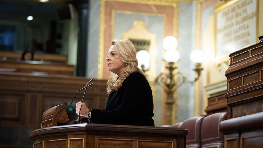 La única diputada de CC critica al Gobierno de España por poner "en riesgo" medidas fundamentales al meterlas en un mismo decreto