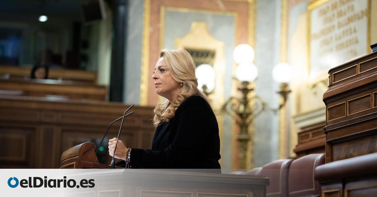 La única diputada de CC critica al Gobierno de España por poner  en riesgo  medidas fundamentales al meterlas en un mismo decreto