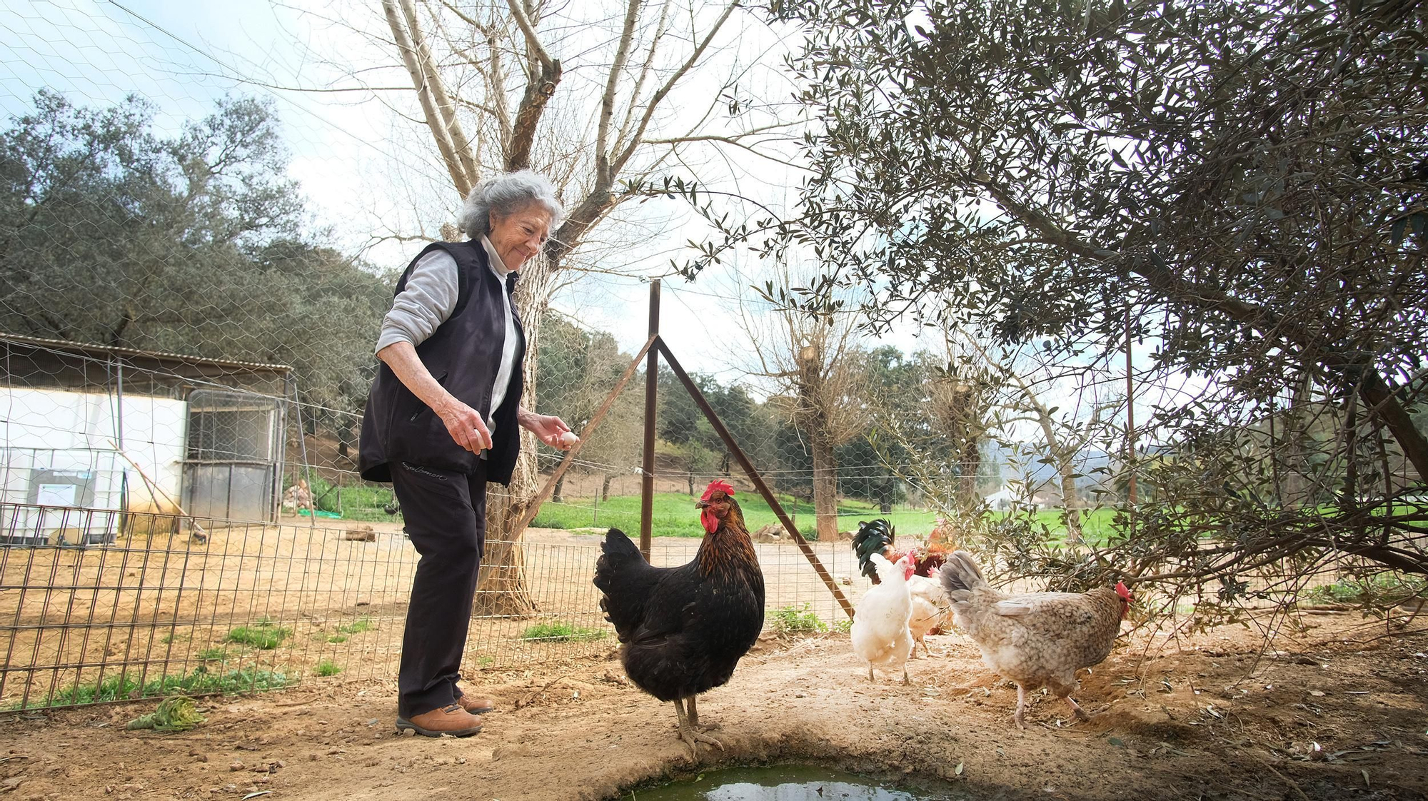 Carmen Bendala con sus gallinas