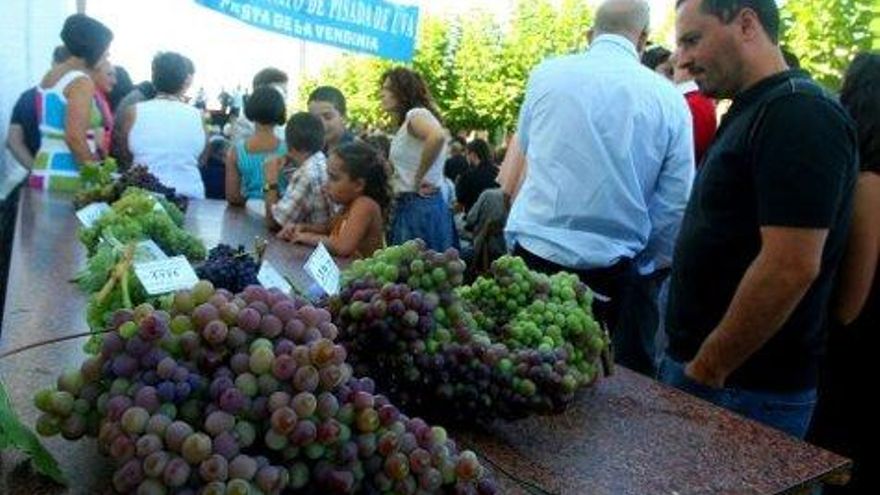 César Sánchez / ICAL Concurso de racimos de uva en la Fiesta de la Vendimia de Cacabelos