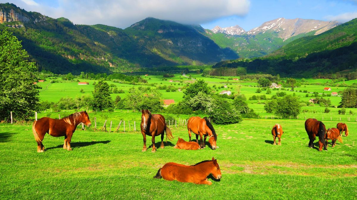 Las inmediaciones de Isaba nos llevan a la naturaleza más verde.