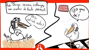 La dana deja algún despiste a su paso por Logroño