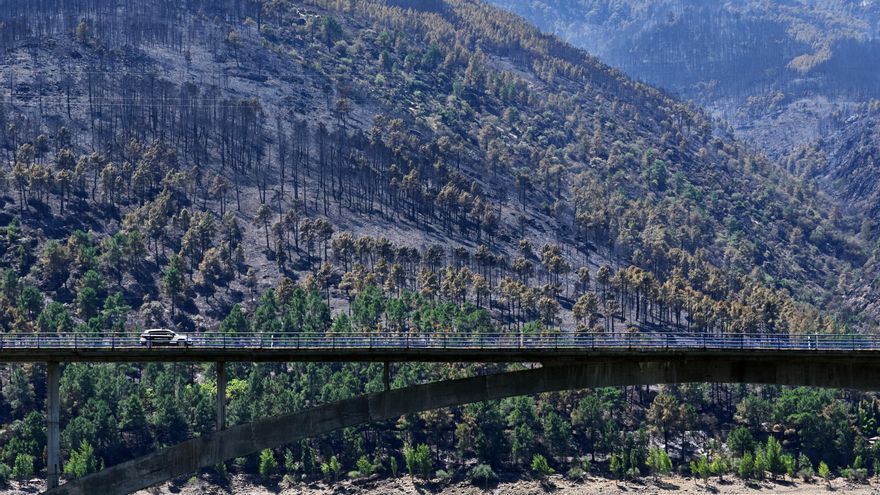 Un juzgado abre diligencias por delito ambiental en el incendio de Burgohondo, el mayor de la historia de España