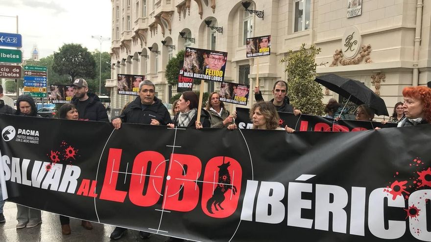 PACMA exige devolver al lobo al LESPRE con una protesta frente al Congreso: "¡Lobo vivo, lobo protegido!".