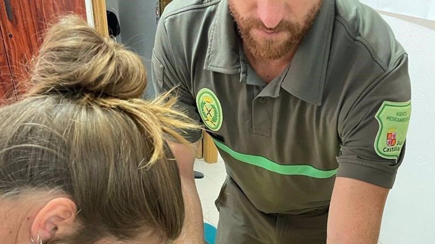 Hallan en estado "crítico" a un osezno en un camino de la localidad leonesa de Colinas del Campo