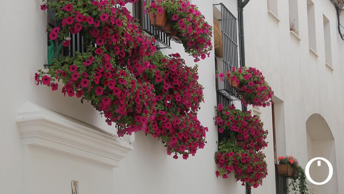Rejas y Balcones en la C/ Rey Heredia, 13