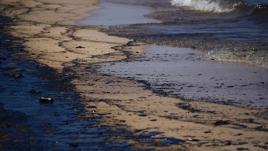 Un vertido de fuel obliga a cerrar las playas del parque natural de L'Albufera
