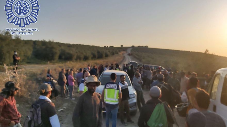 Imagen de la operación