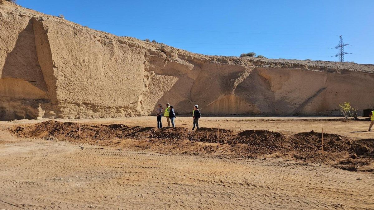El Cabildo de Tenerife creará un humedal artificial para estudiar su adaptación al cambio climático