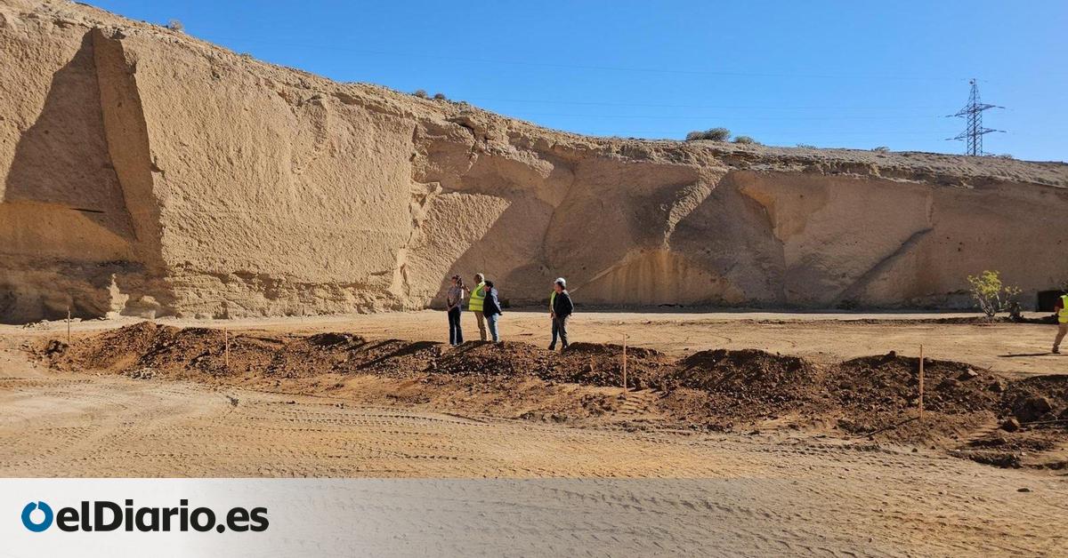 El Cabildo de Tenerife y la Fundación Moeve crearán un humedal artificial para estudiar su adaptación al cambio climático