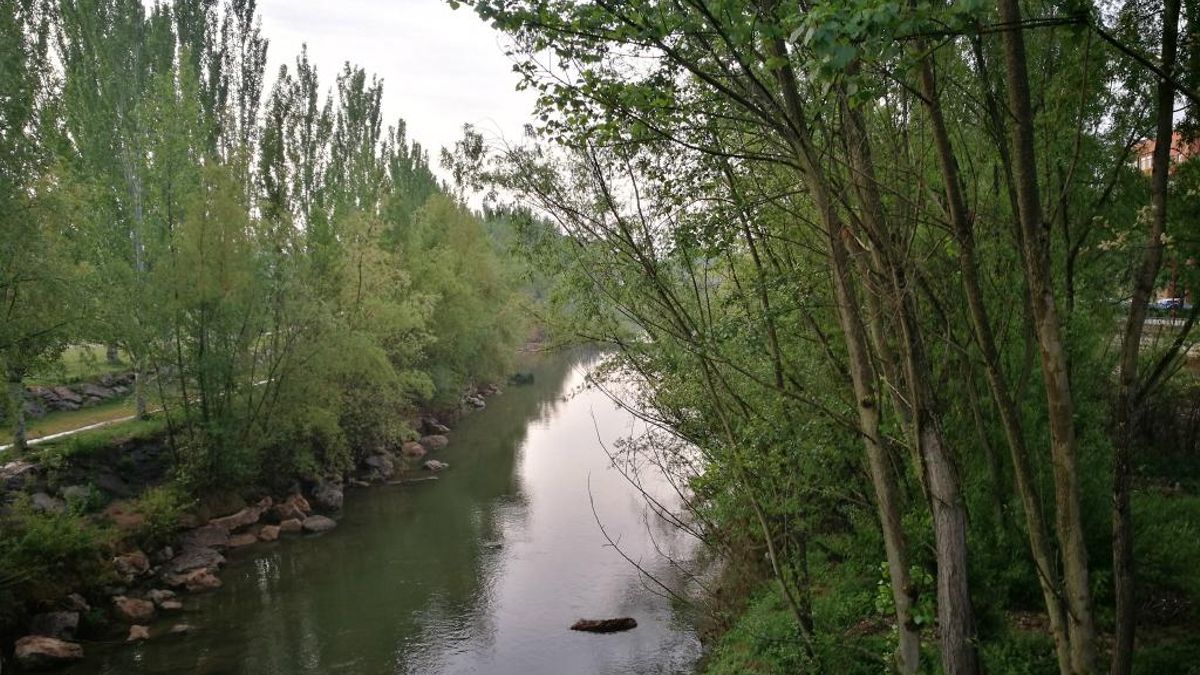 El paseo del río Bernesga por la capital leonesa.