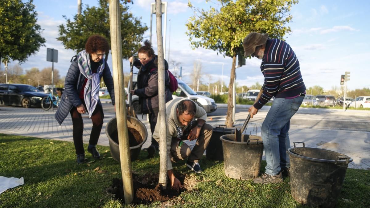 Plantación de un nuevo ginkgo en Miraflores y concentración al cumplirse 15 años del accidente nuclear de Fukushima