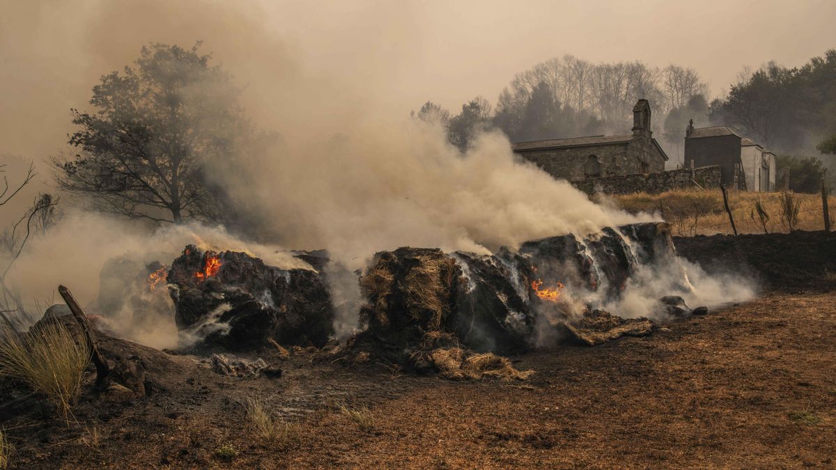 La desolación tras el paso de las llamas por Chandrexa, uno de los incendios más grandes de la historia de Galicia