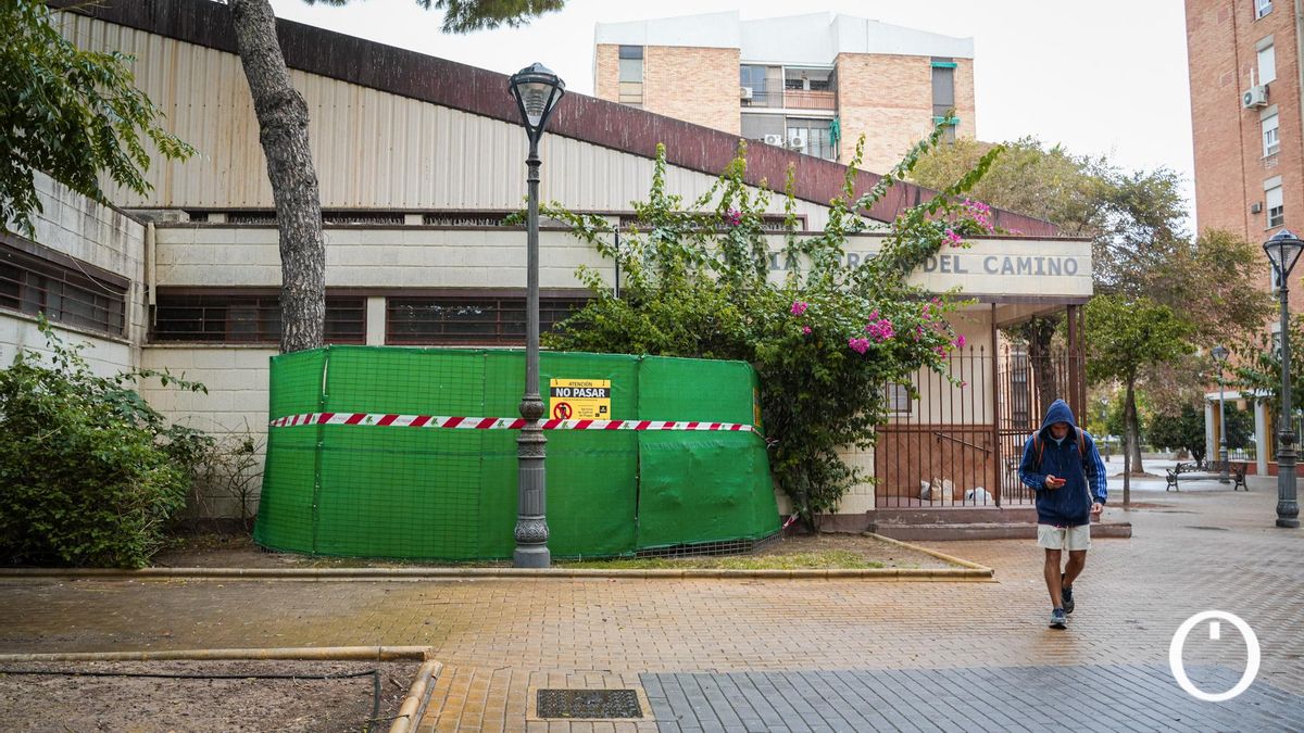 Sadeco actúa ante madrigueras de ratas en distintos puntos de la ciudad