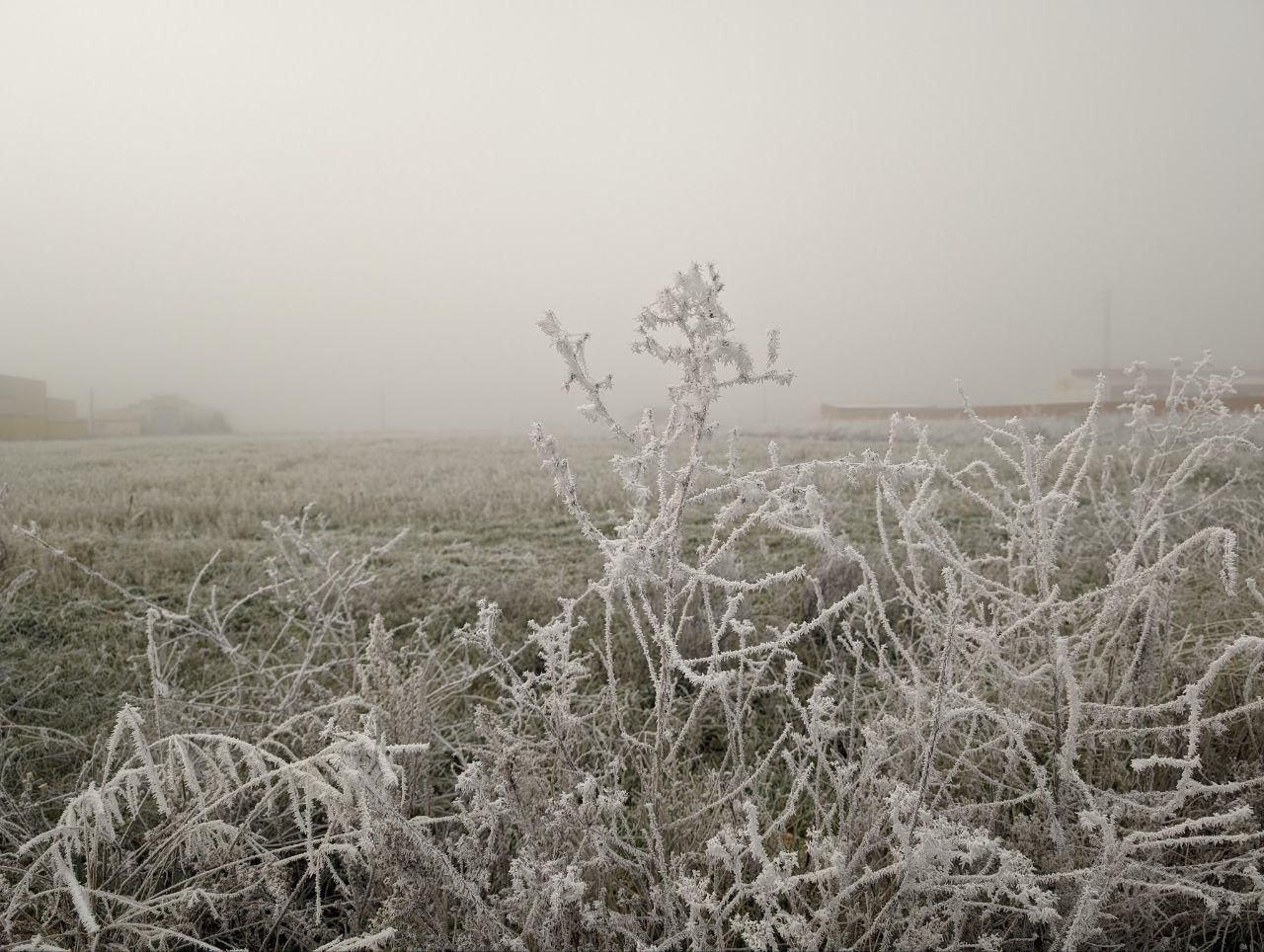 La cencellada pinta de blanco la comarca del Páramo leonés