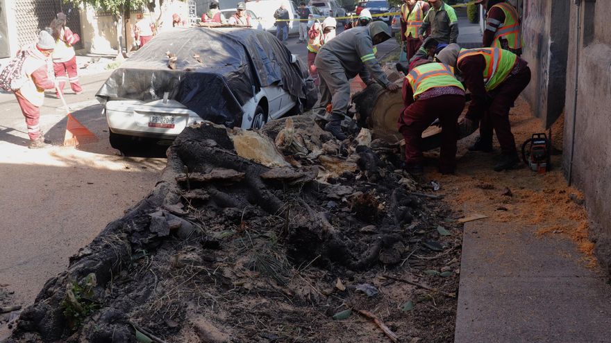 Suben a 24 los municipios con afectaciones por sismo en Guerrero, sur de México
