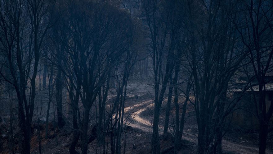 Vista de un área calcinada en la localidad de A Veiga da Cascallá (Rubiá) el pasado martes.