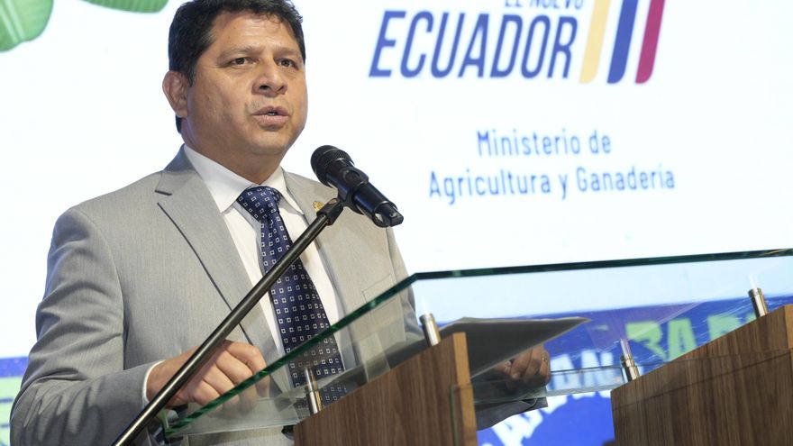 Ecuador aumenta sus exportaciones de banano, pese a lidiar con guerras, lluvias y plagas