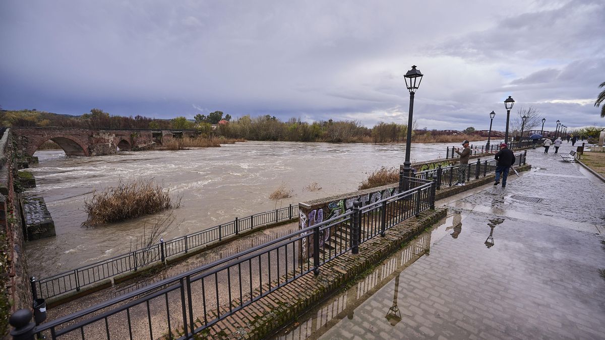 Vista de la crecida del río Tajo a su paso por en Talavera de la Reina (Toledo) este martes