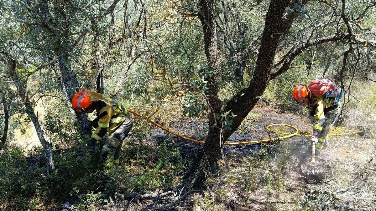 Personal del Infoar trabajando en el incendio