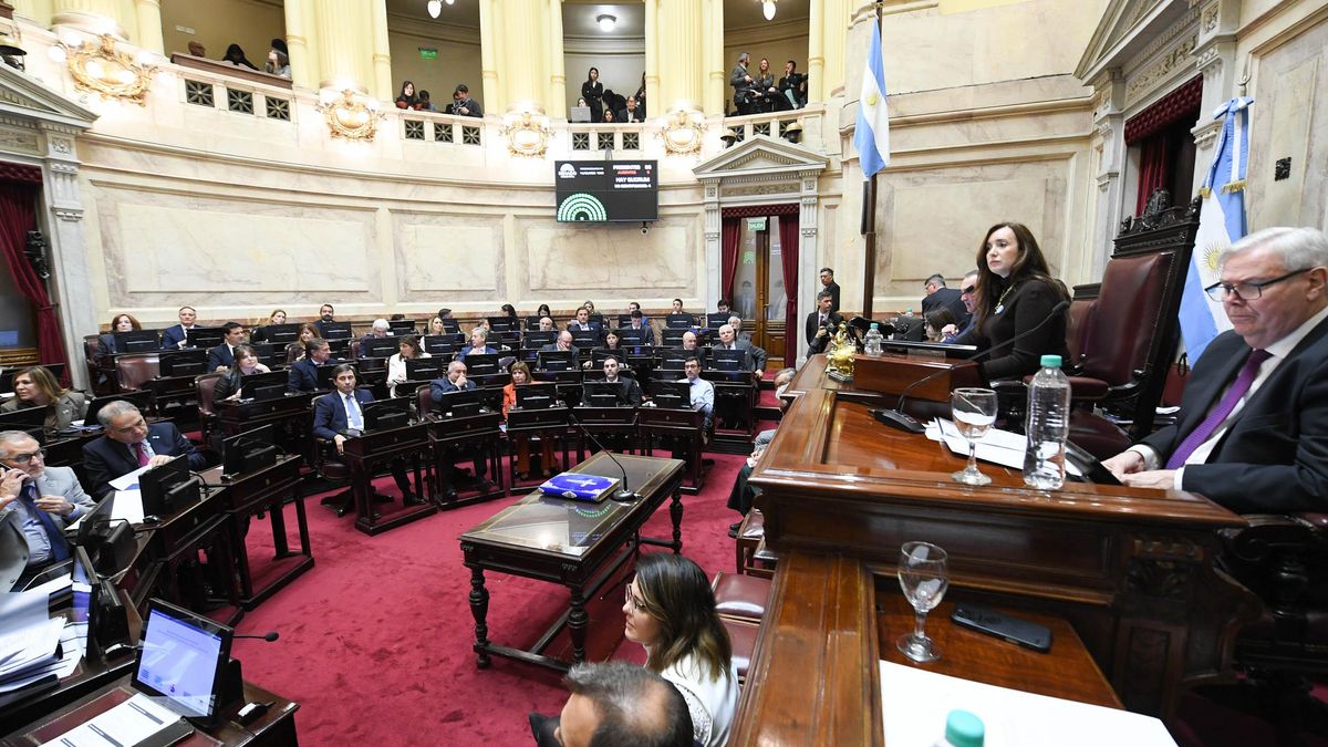 El Senado aprobó la ley de regularización y la entrega voluntaria de armas hasta 2027