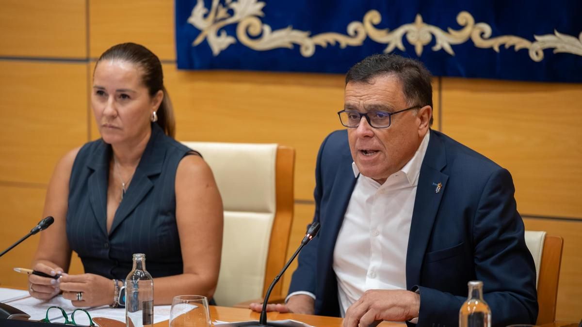 El Consultivo carga contra el Gobierno de Canarias por allanar el camino a los polémicos proyectos de interés insular