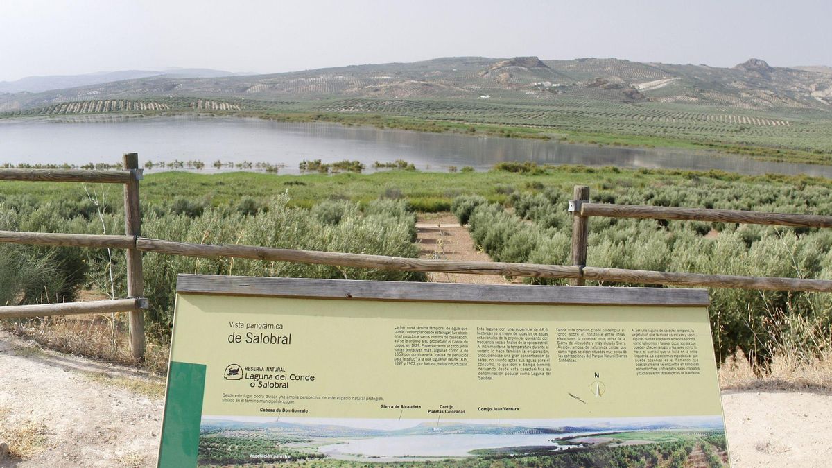 La laguna, vista desde la vía verde.