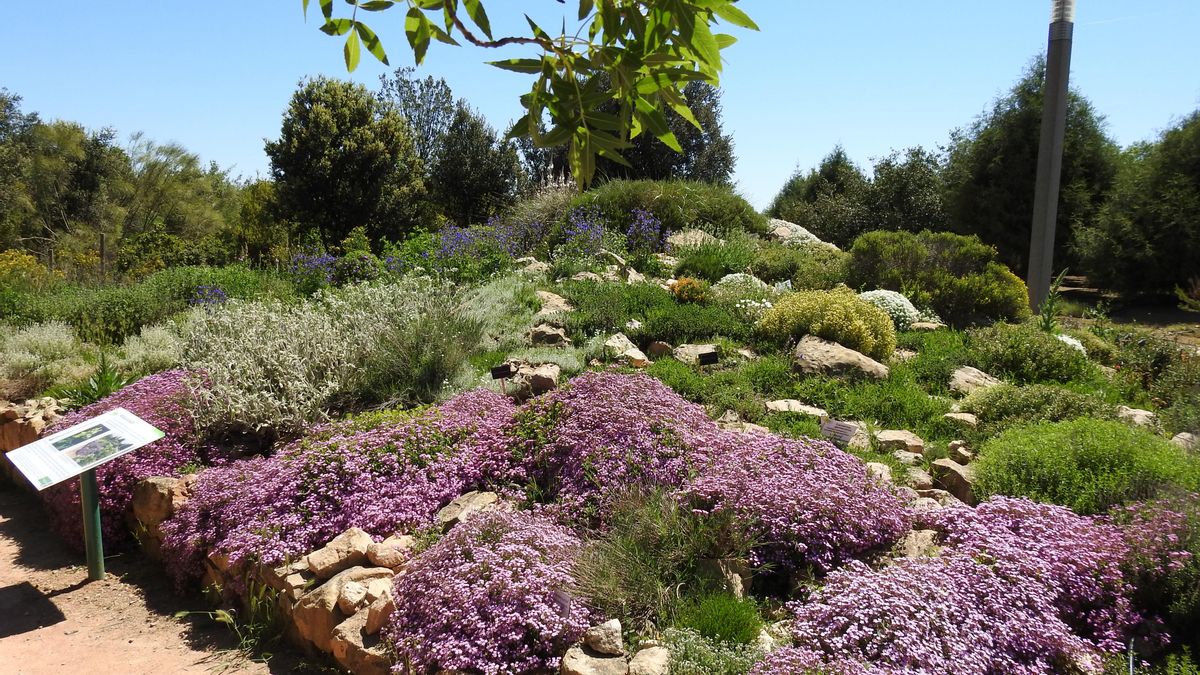 Se hacen públicos los nombres de los galardonados en los Premios de Medio Ambiente de Castilla-La Mancha