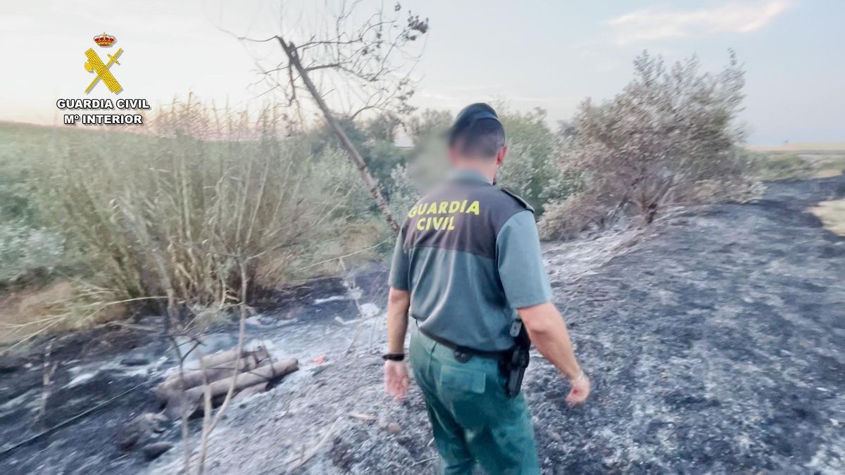 La Guardia Civil investiga un incendio forestal