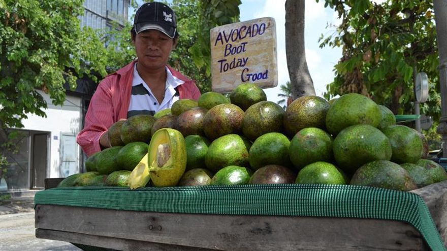 El aguacate vietnamita, posible rival de México en el mercado de EE.UU.