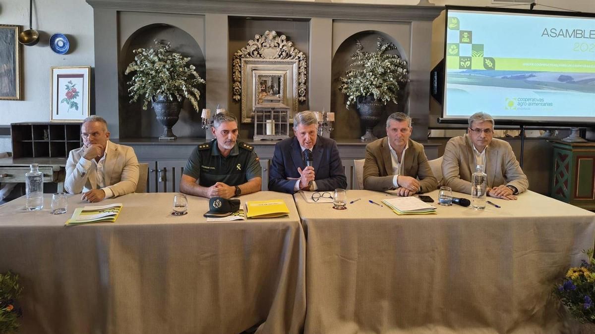 Cooperativas Agro-alimentarias destaca la fortaleza del sector, con 2.309 millones de facturación en 2025