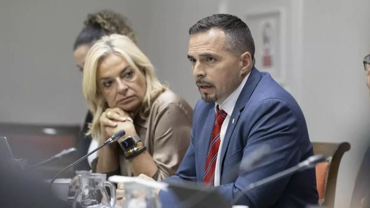 La consejera de Sanidad, Esther Monzón, junto al director del Servicio Canario de Salud, Adasat Goya