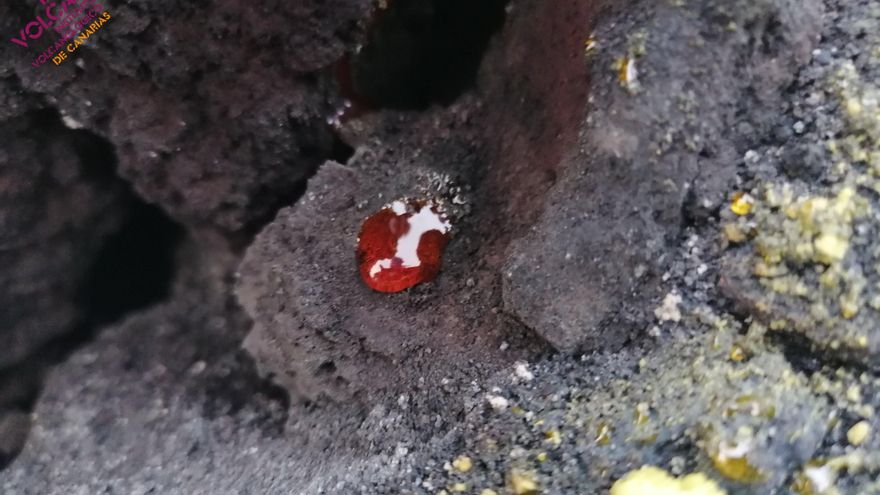 VÍDEO | "Gotas de sangre de las arterias del volcán" tiñen de rojo algunas zonas del interior del cráter en La Palma