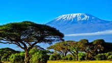 El Monte Kilimanjaro desde la sabana.