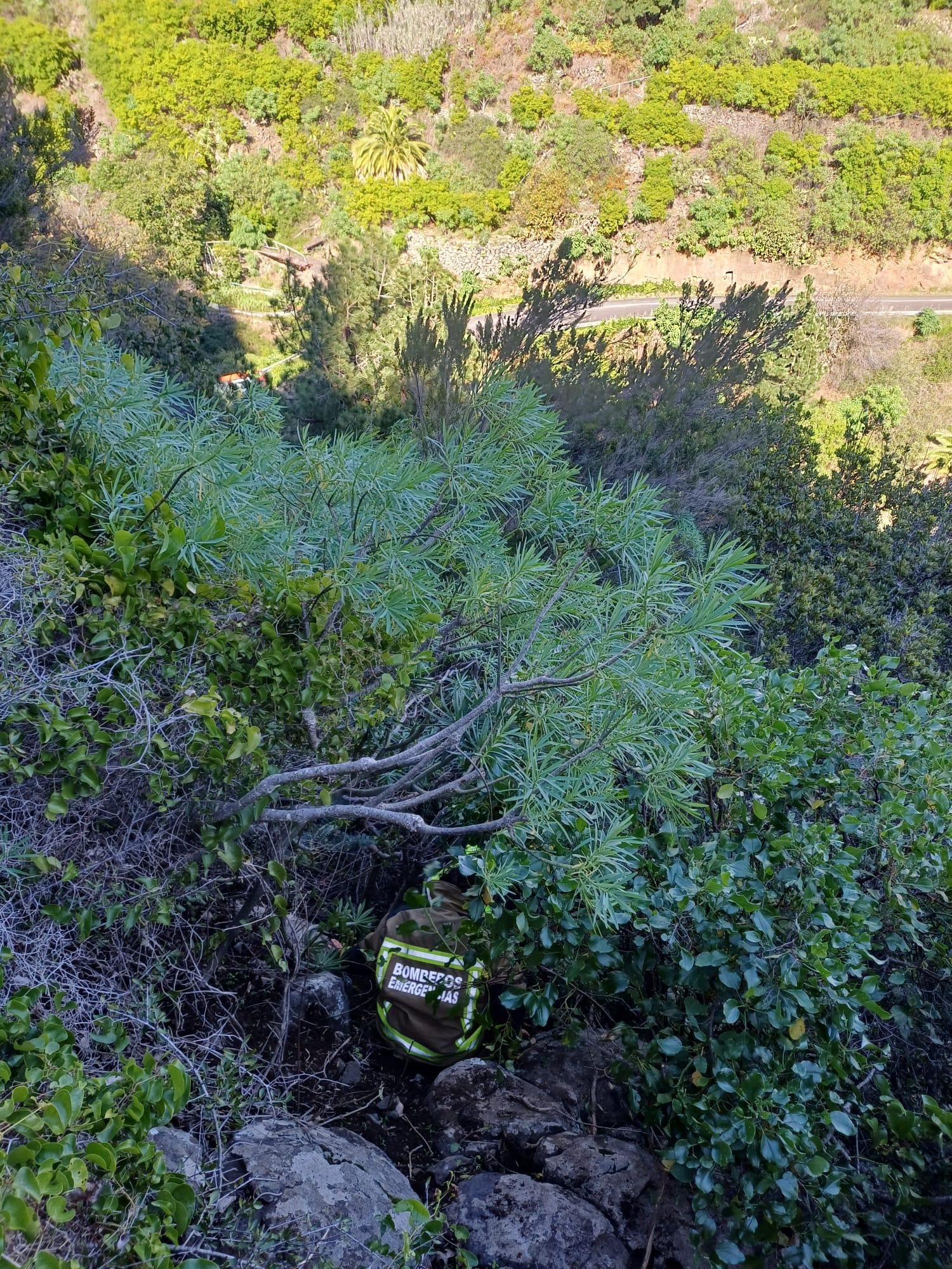 Un bombero donde quedó atrapada una senderista en un ribazo en un lateral de la carretera LP-4  (MIrca).