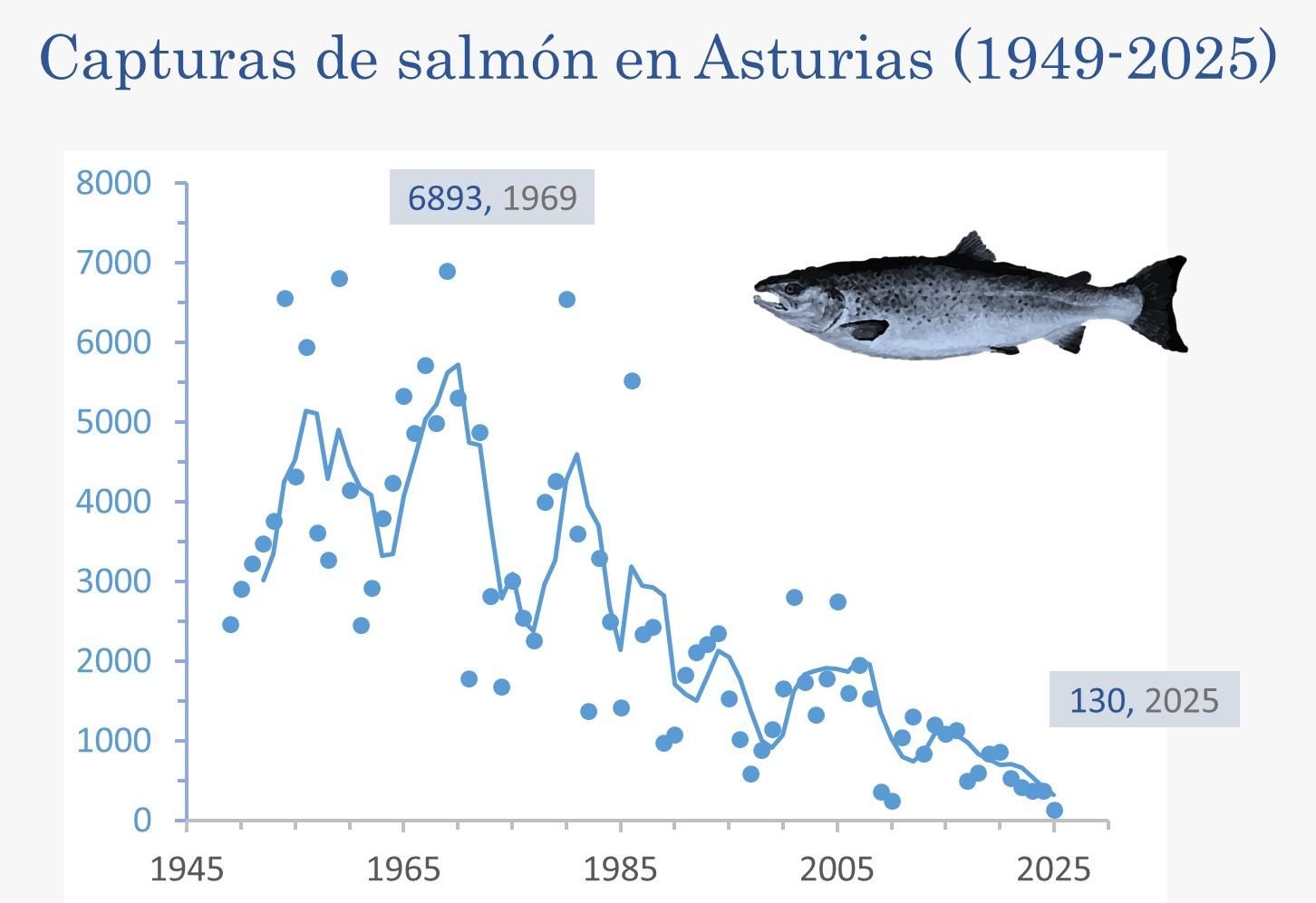 Capturas de salmón en Asturias durante el período 1949 2025.
